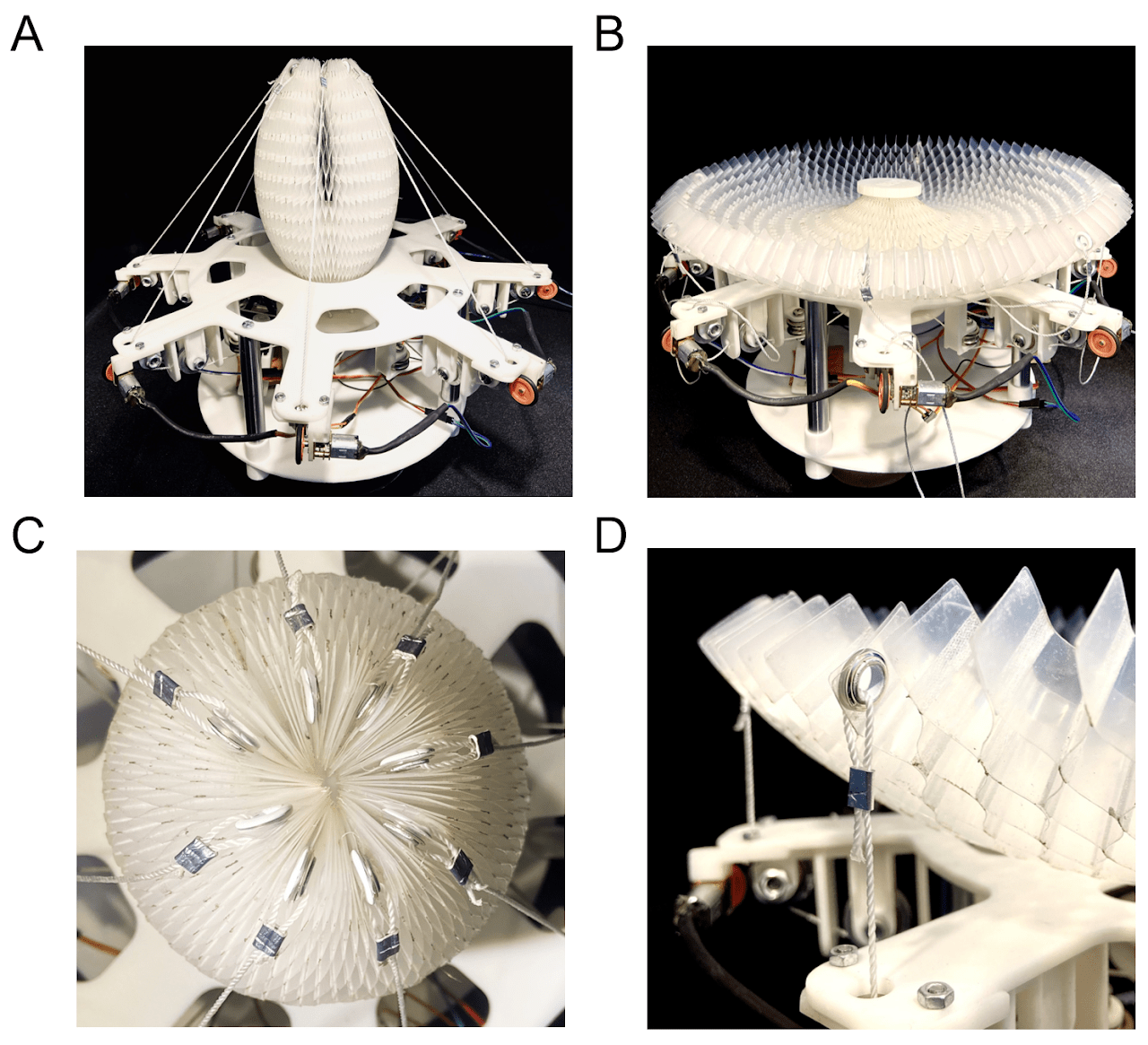 III. Bio-Inspired Soft Robotic Grippers and Manipulators – Xingwen ...